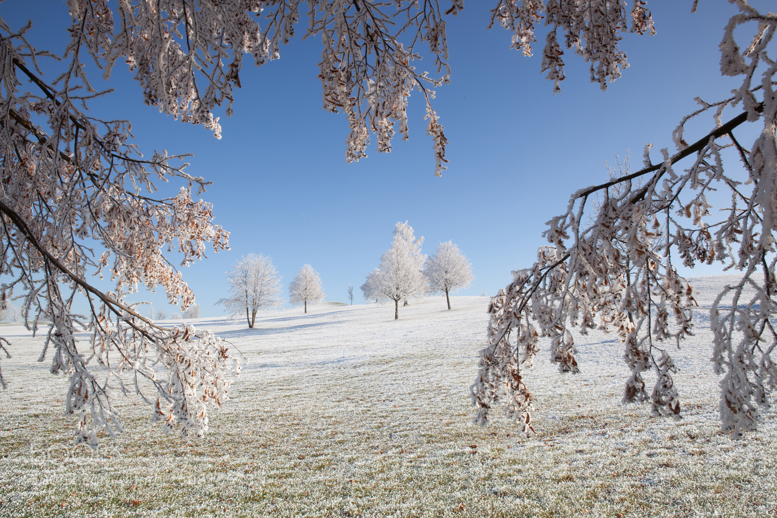 Canon EOS 5D Mark II sample photo. Winter landscape photography