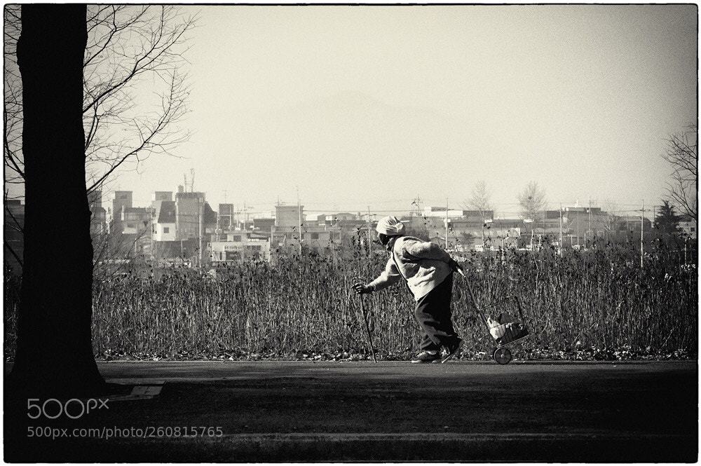 Nikon D70 sample photo. Life in mono photography