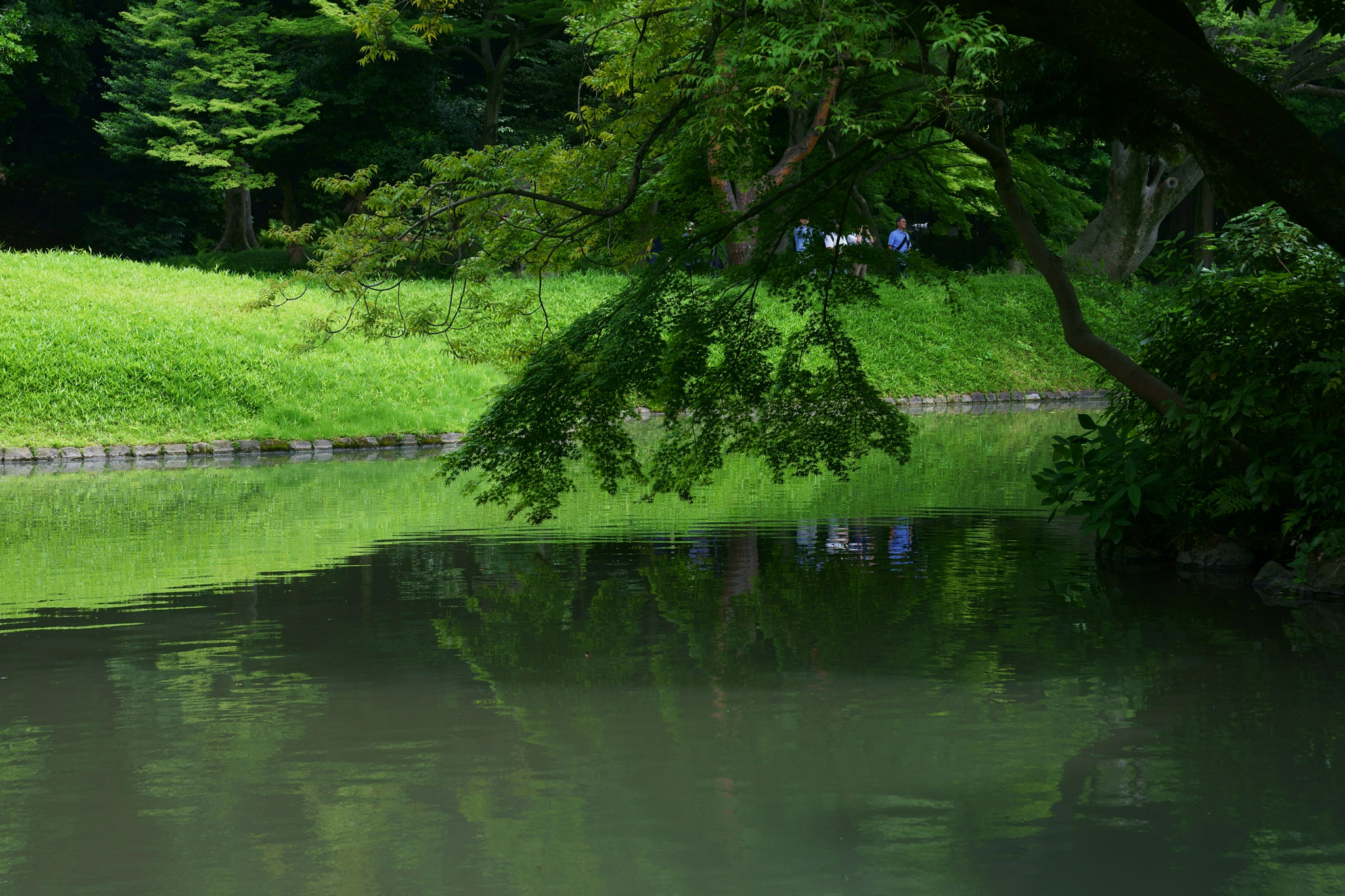Sony a9 sample photo. In the park photography