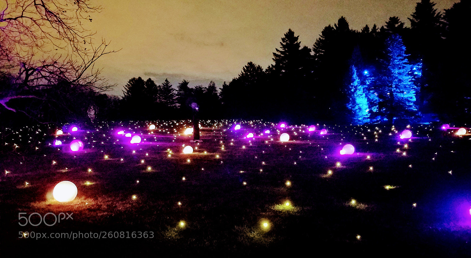 Samsung Galaxy S7 sample photo. Lights at sunset photography