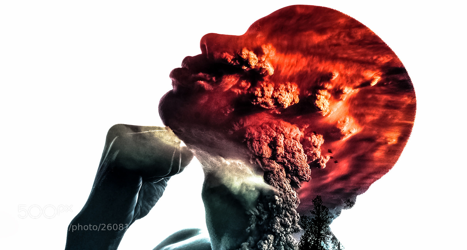 Canon EOS 5D sample photo. Fire brain v photography