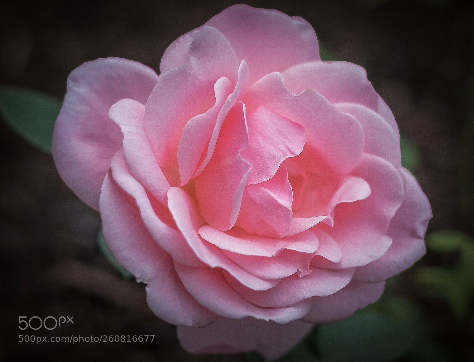 Fujifilm X-T2 sample photo. Edit edit edit photography