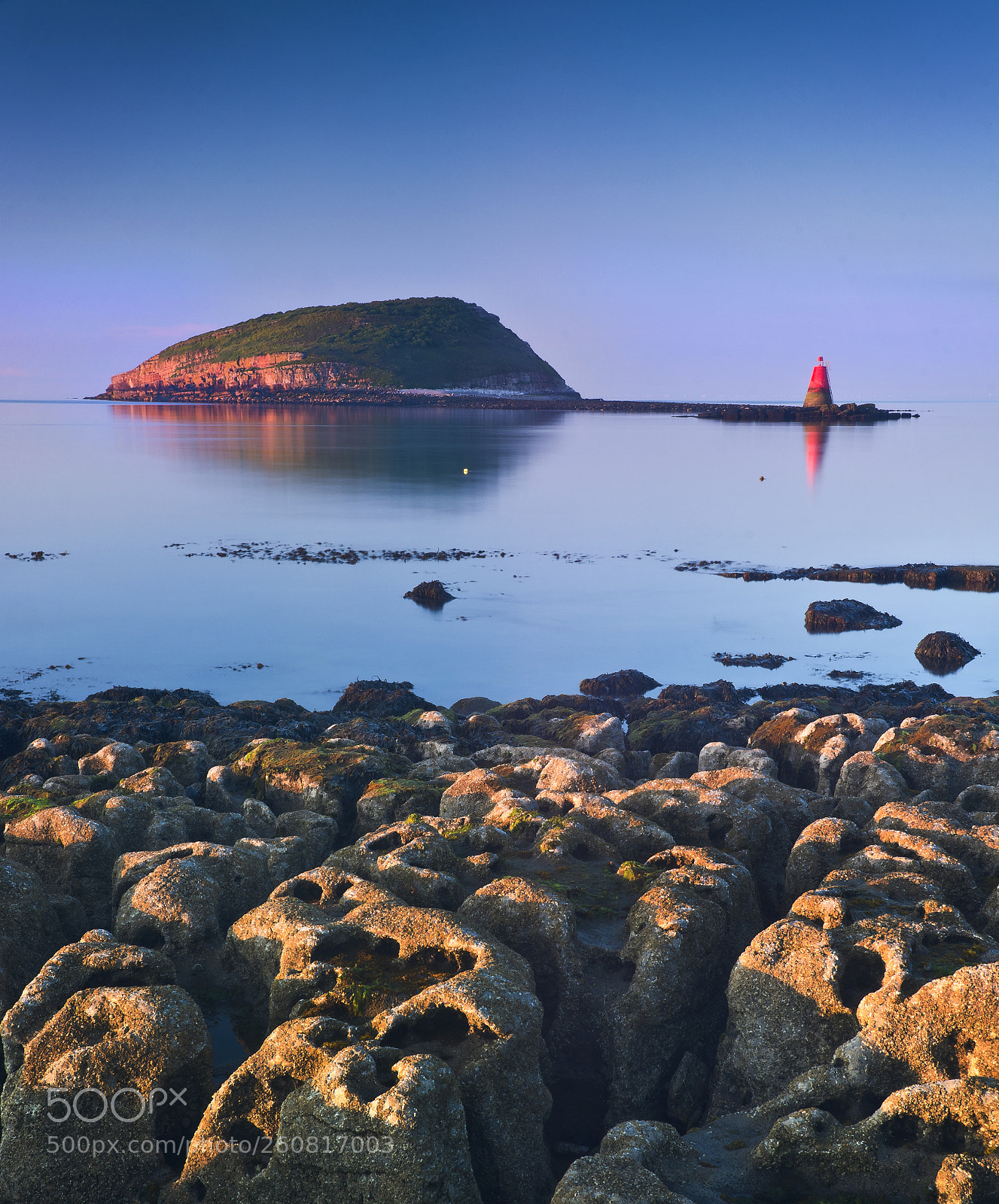 Nikon D7100 sample photo. Penmon point-puffin island photography