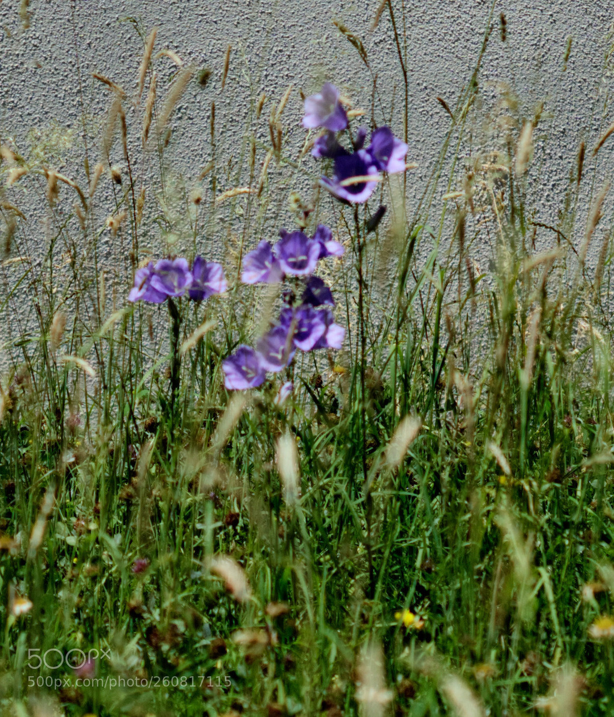 Sony a6000 sample photo. Ich muss zugeben, ich photography