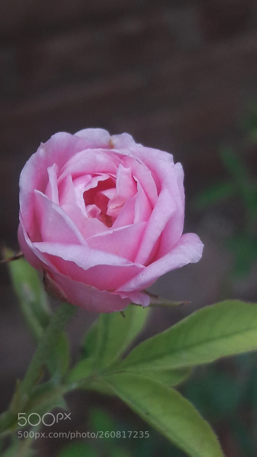Samsung Galaxy J7 sample photo. Untitled photography