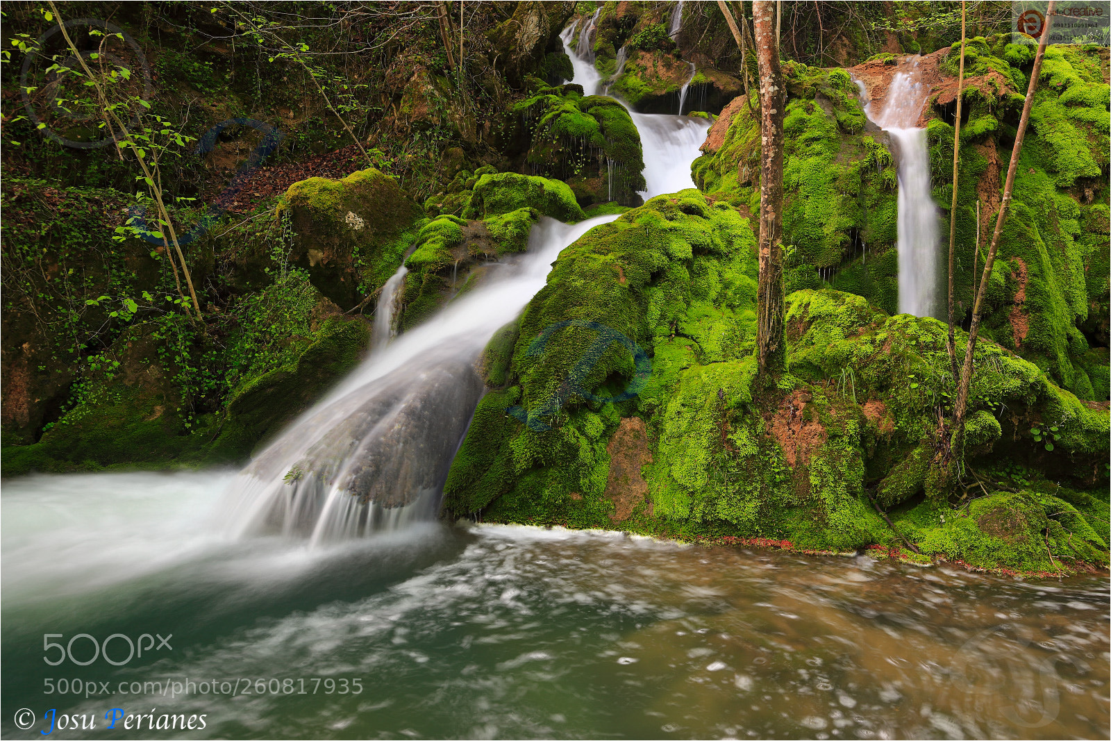 Canon EOS 5D Mark II sample photo. Rincones de primavera photography