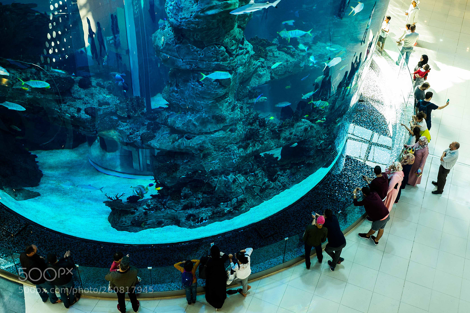 Fujifilm X100S sample photo. Untitled photography