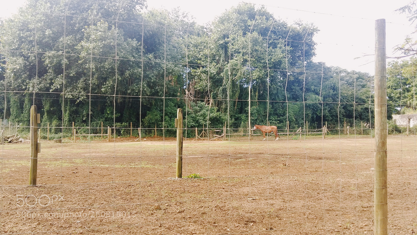 Samsung Galaxy A5 sample photo. H2 photography