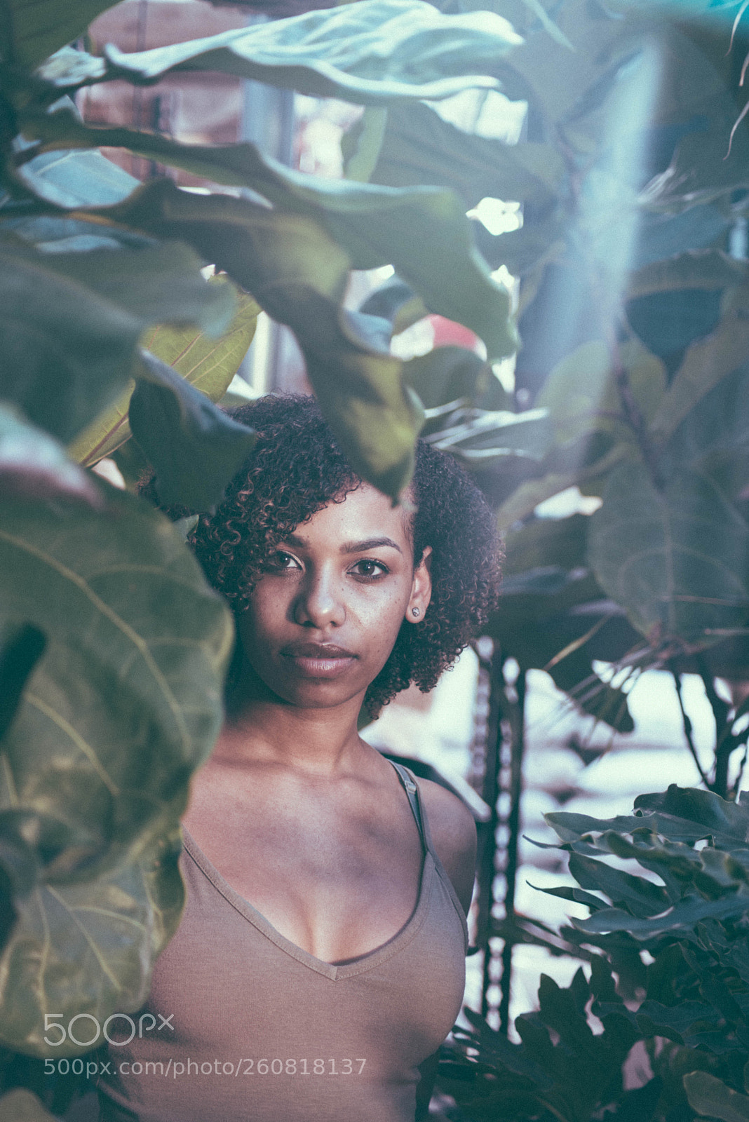 Nikon D610 sample photo. The usual. photography