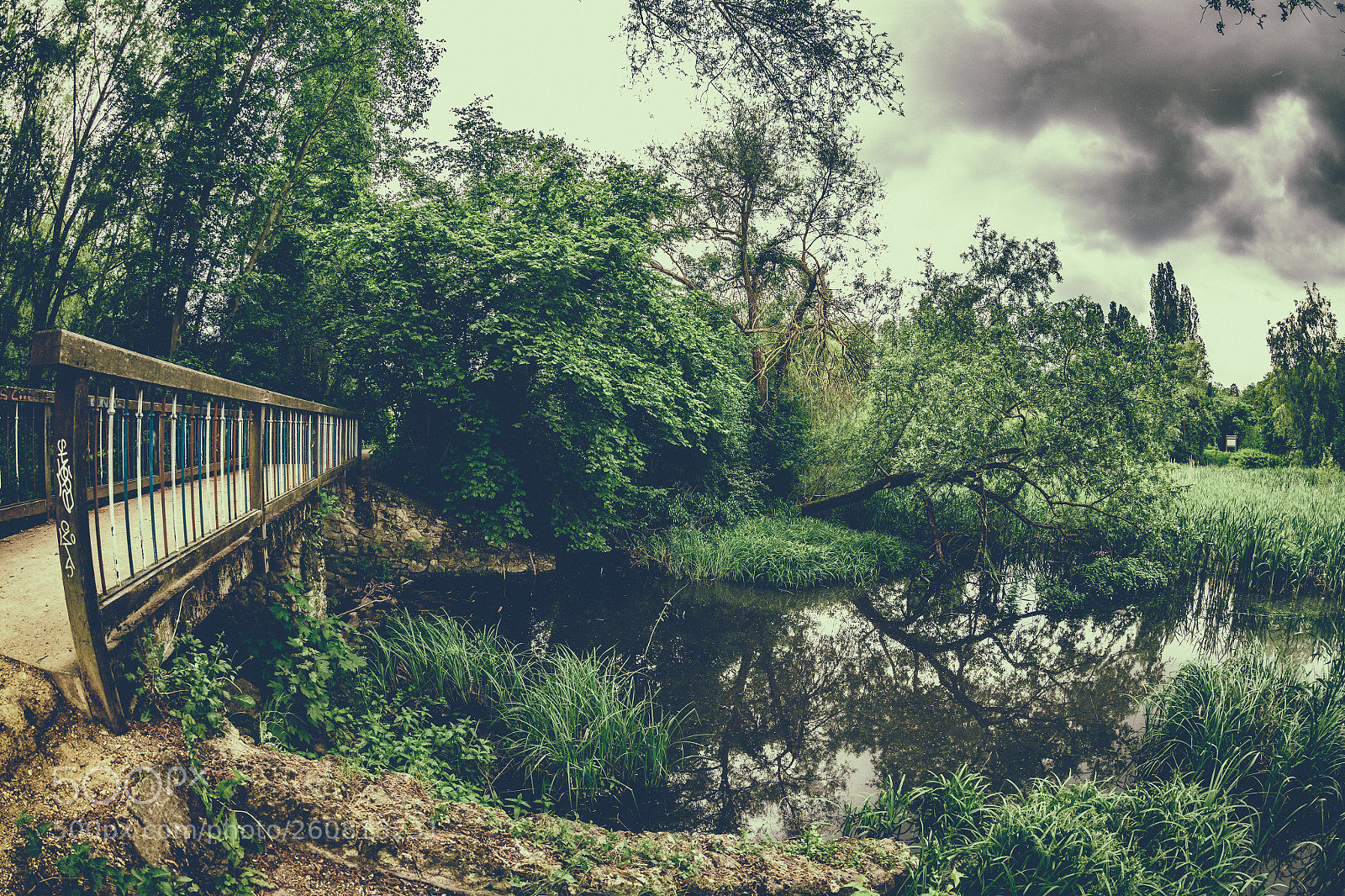 Nikon D850 sample photo. Vintage view  photography