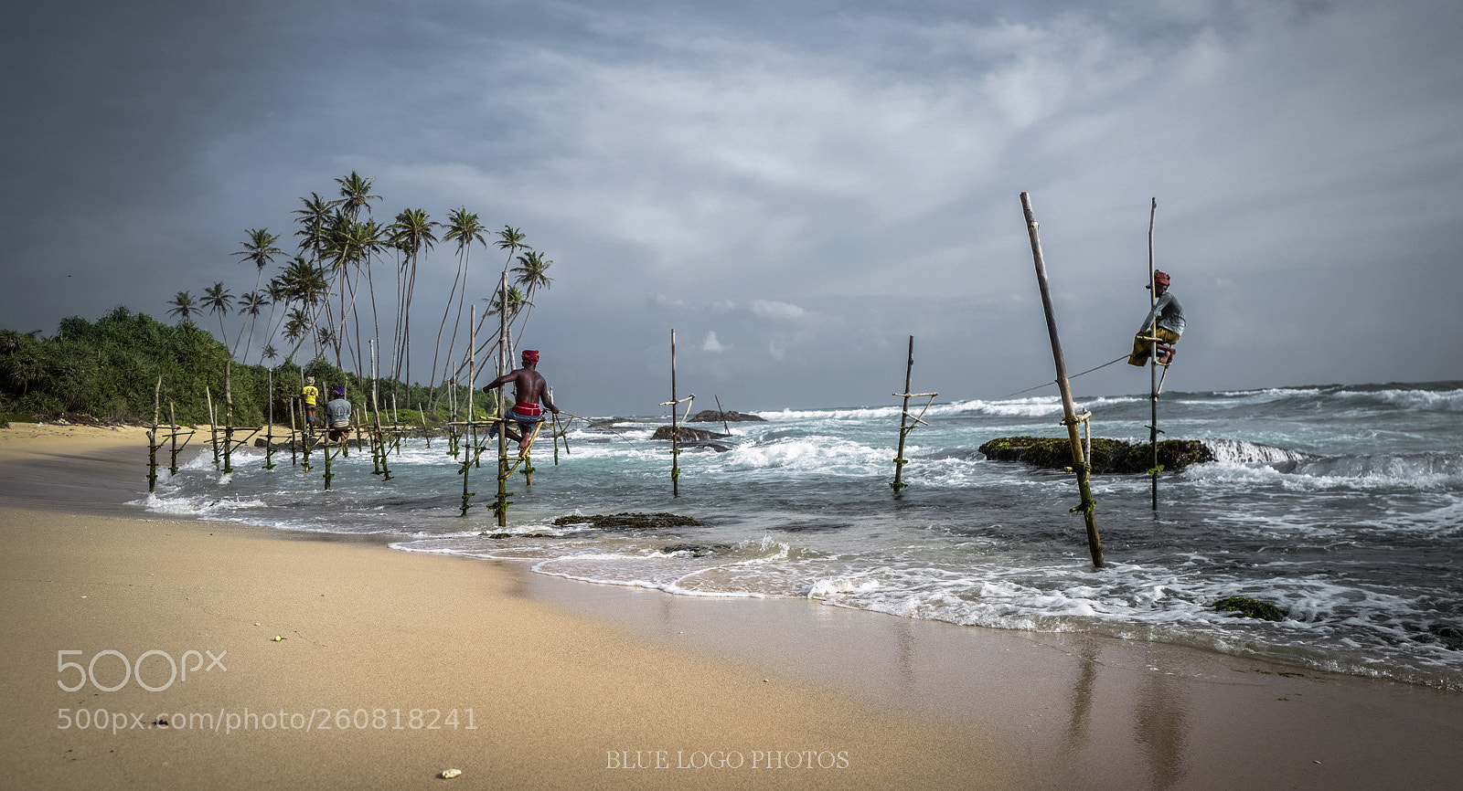 Leica Q (Typ 116) sample photo. Sri lanka photography