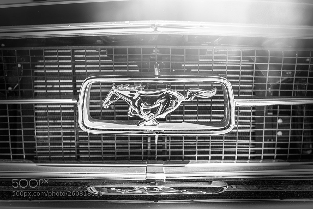 Nikon D800E sample photo. Brooklands march26 2017-25.jpg photography