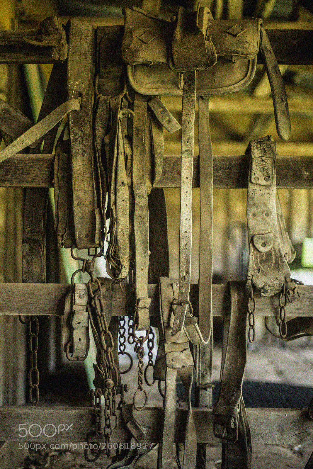 Nikon D600 sample photo. Saddlery 3 photography