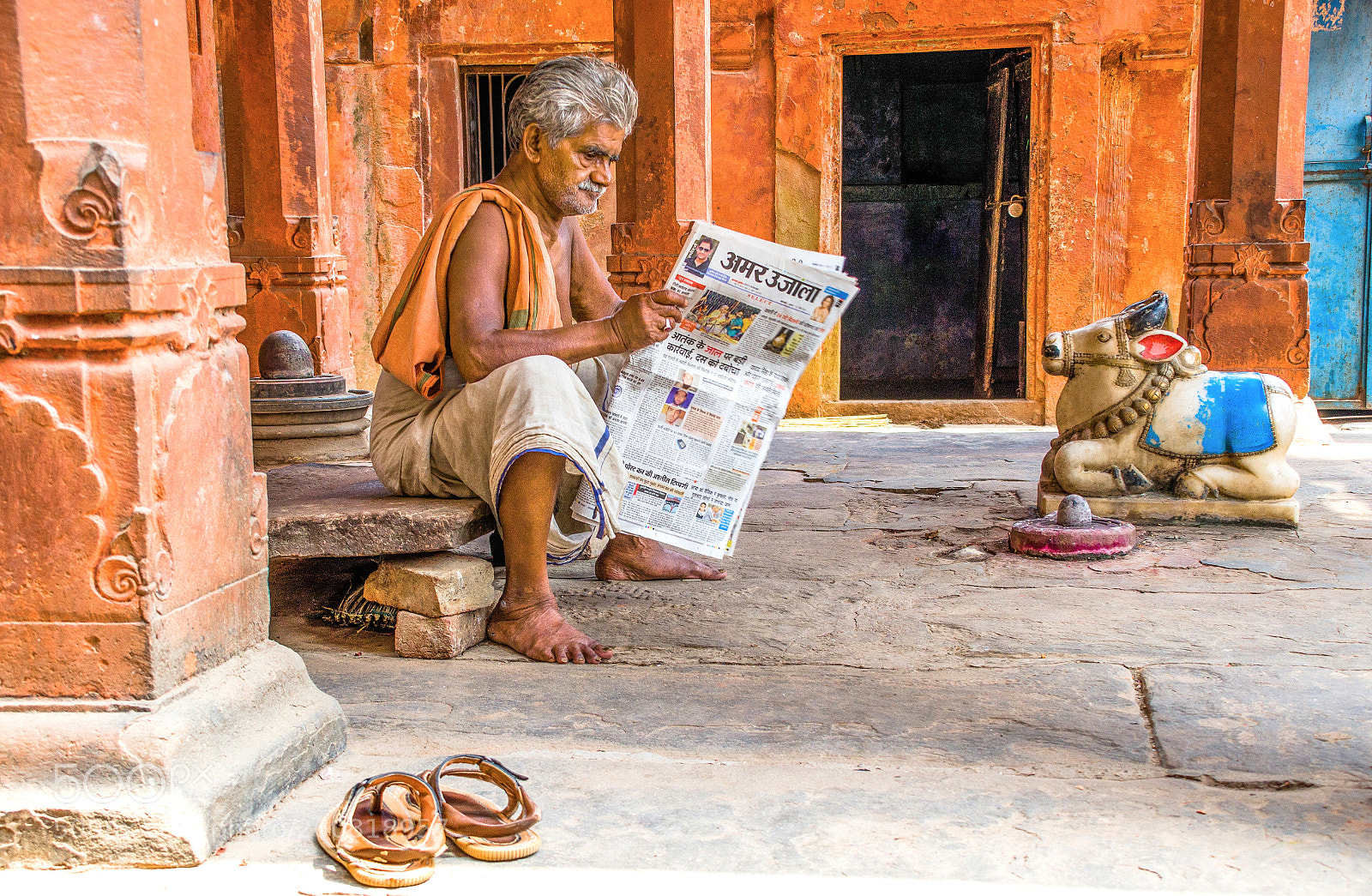 Nikon D7000 sample photo. Reading the morning paper photography