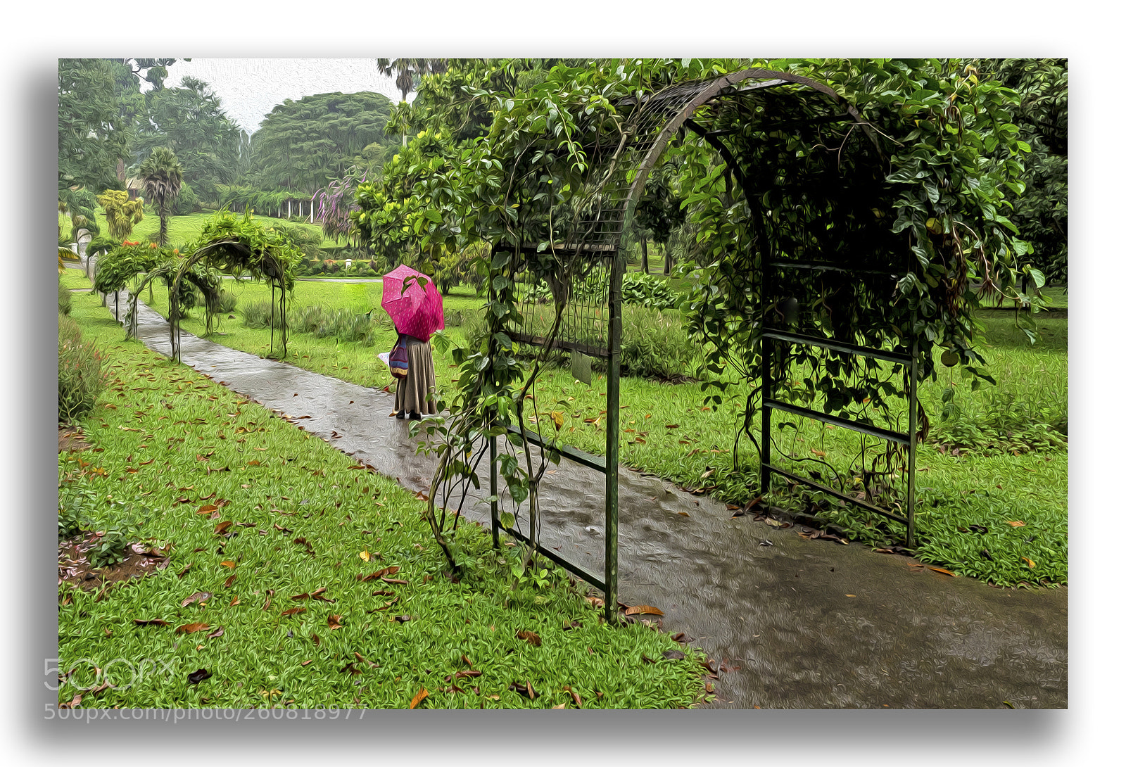 Olympus OM-D E-M1 sample photo. The path photography