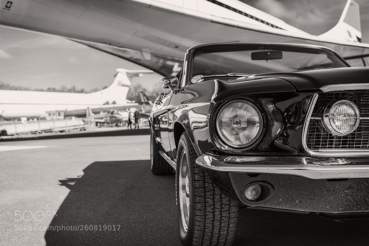 Nikon D800E sample photo. Brooklands march26 2017-27.jpg photography