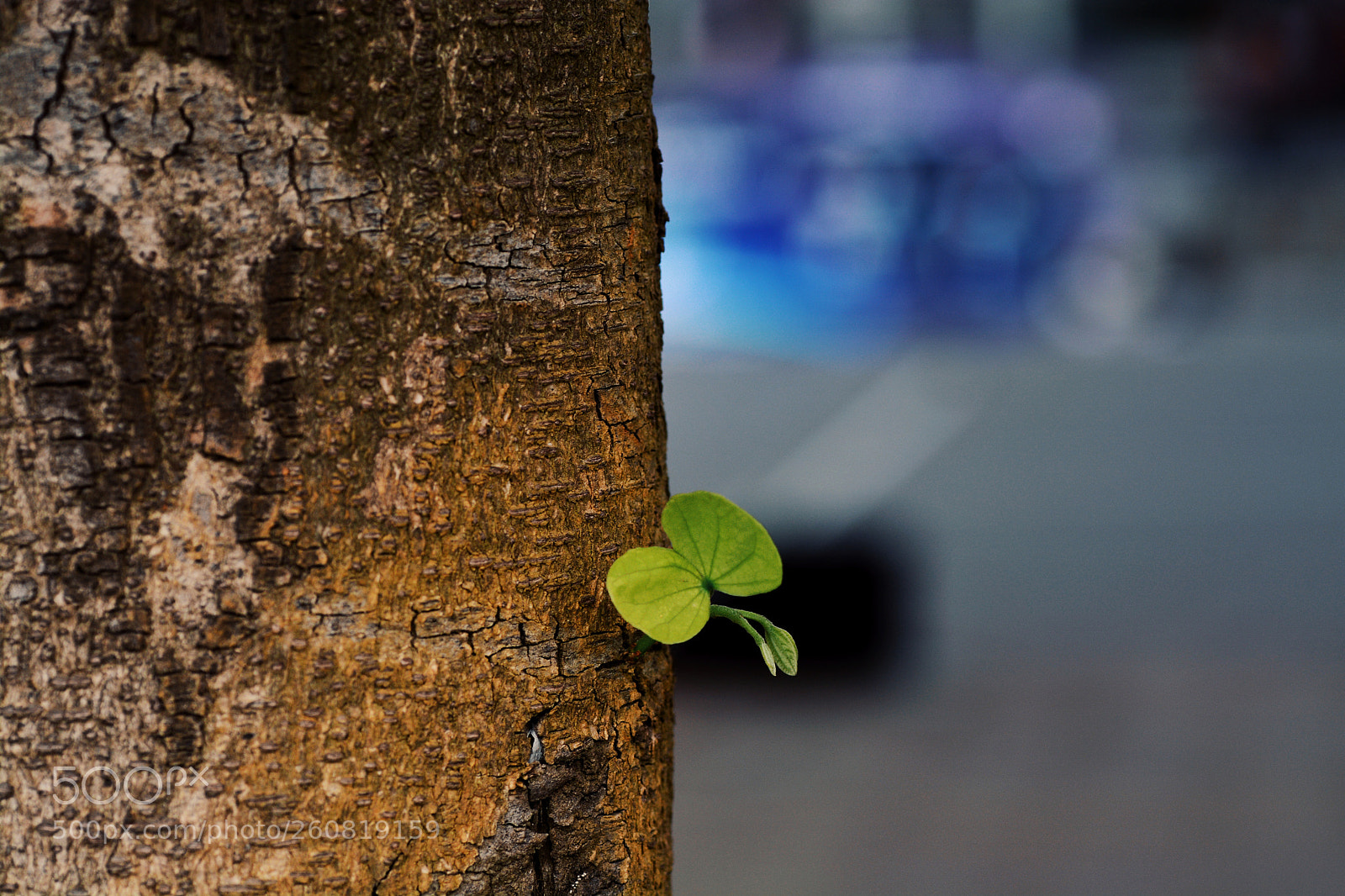 Nikon D7100 sample photo. Untitled photography