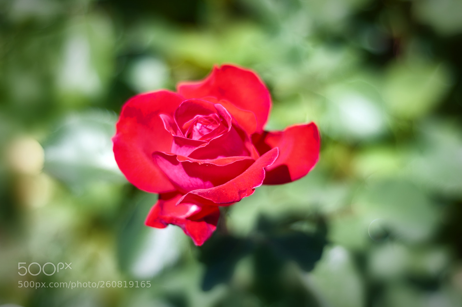 Nikon D90 sample photo. ... photography