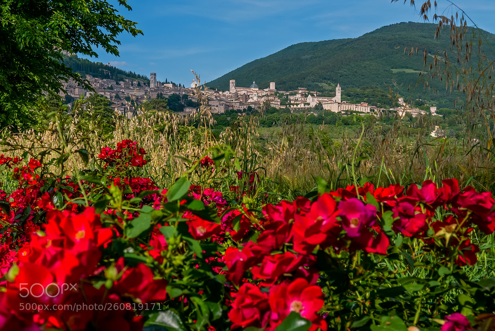 Panasonic Lumix DMC-LX100 sample photo. Assisi photography