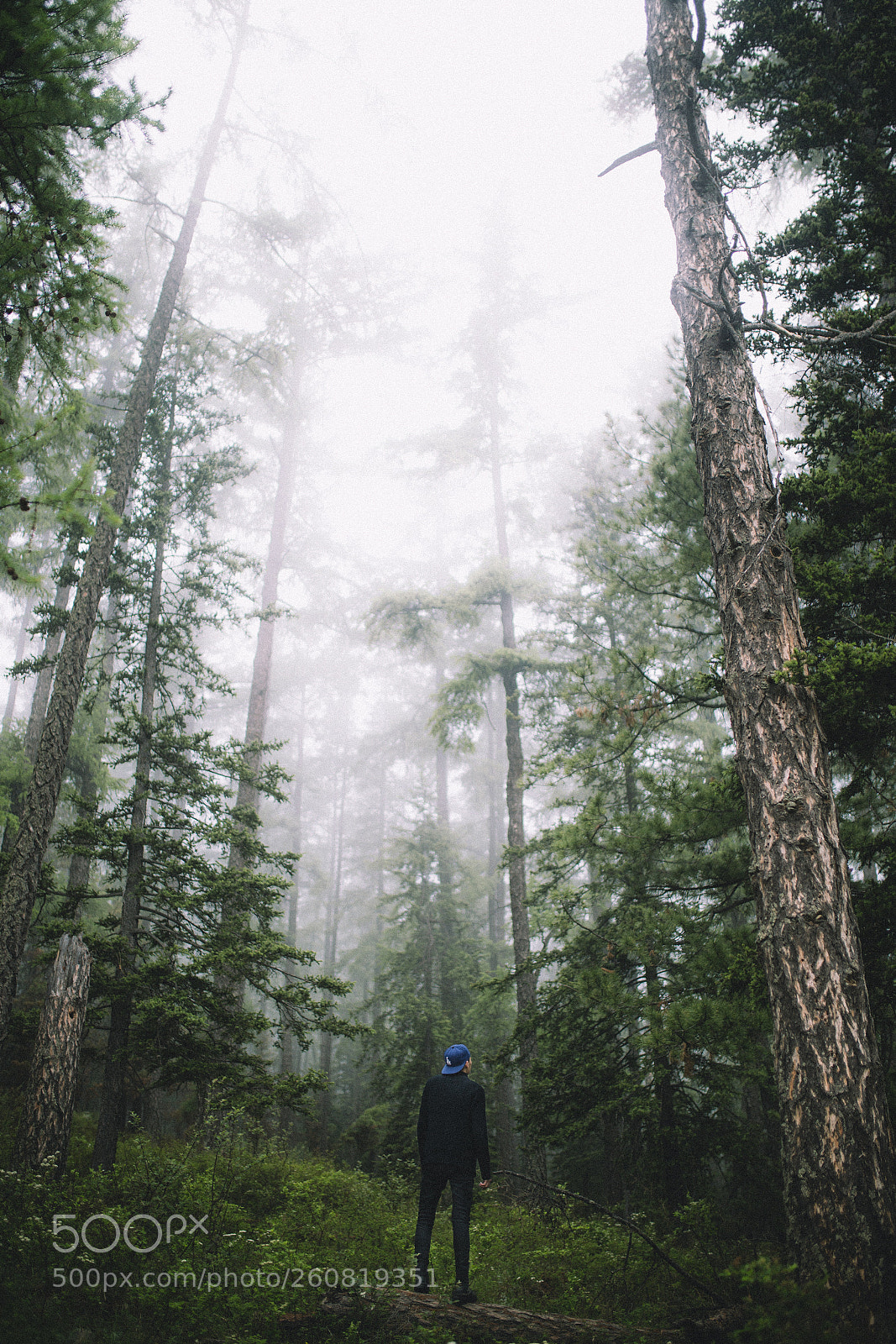 Canon EOS 6D sample photo. Walking into the unknown photography