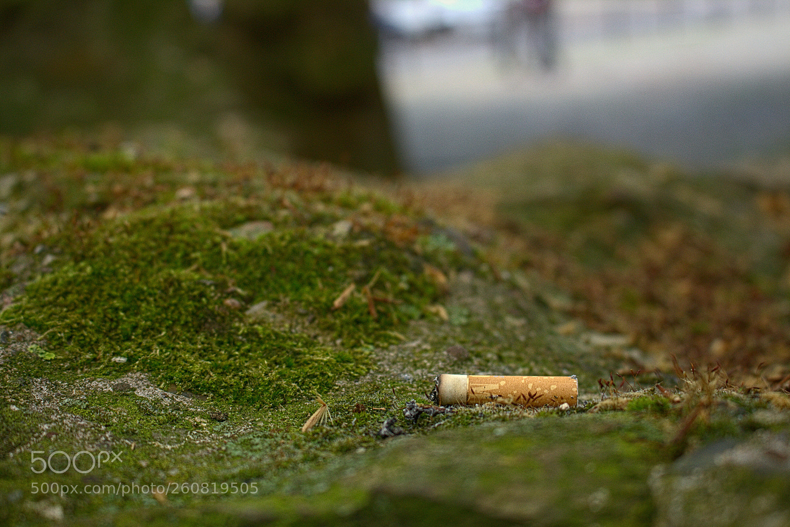 Canon EOS 700D (EOS Rebel T5i / EOS Kiss X7i) sample photo. Untitled photography