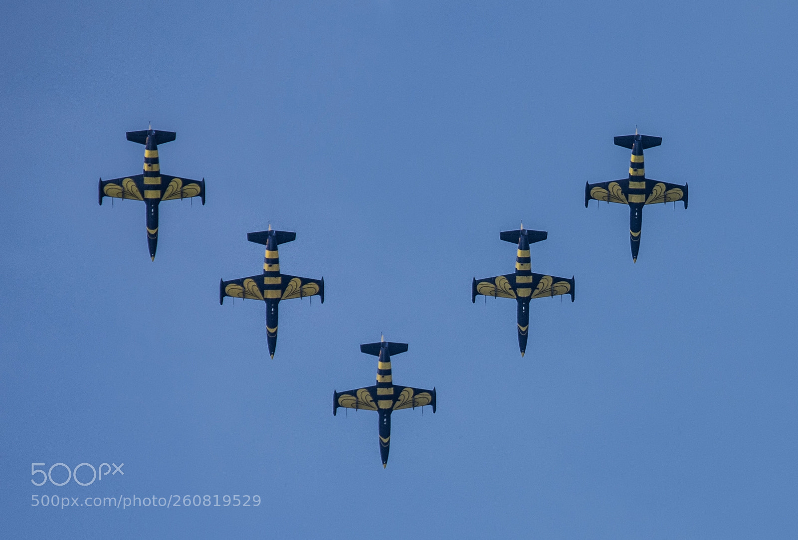 Nikon D7200 sample photo. Baltic bees photography