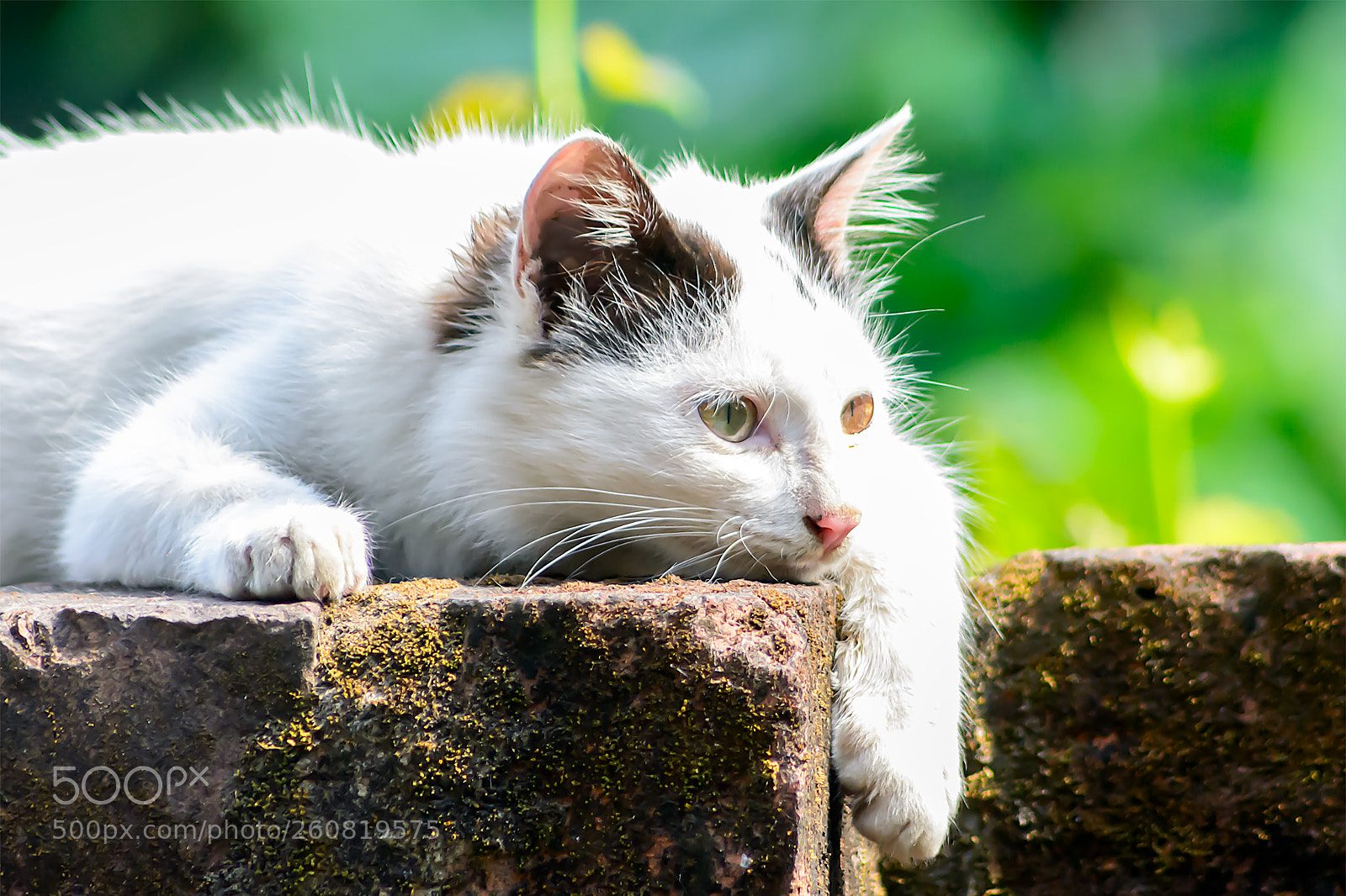 Nikon D5200 sample photo. 3.jpg photography