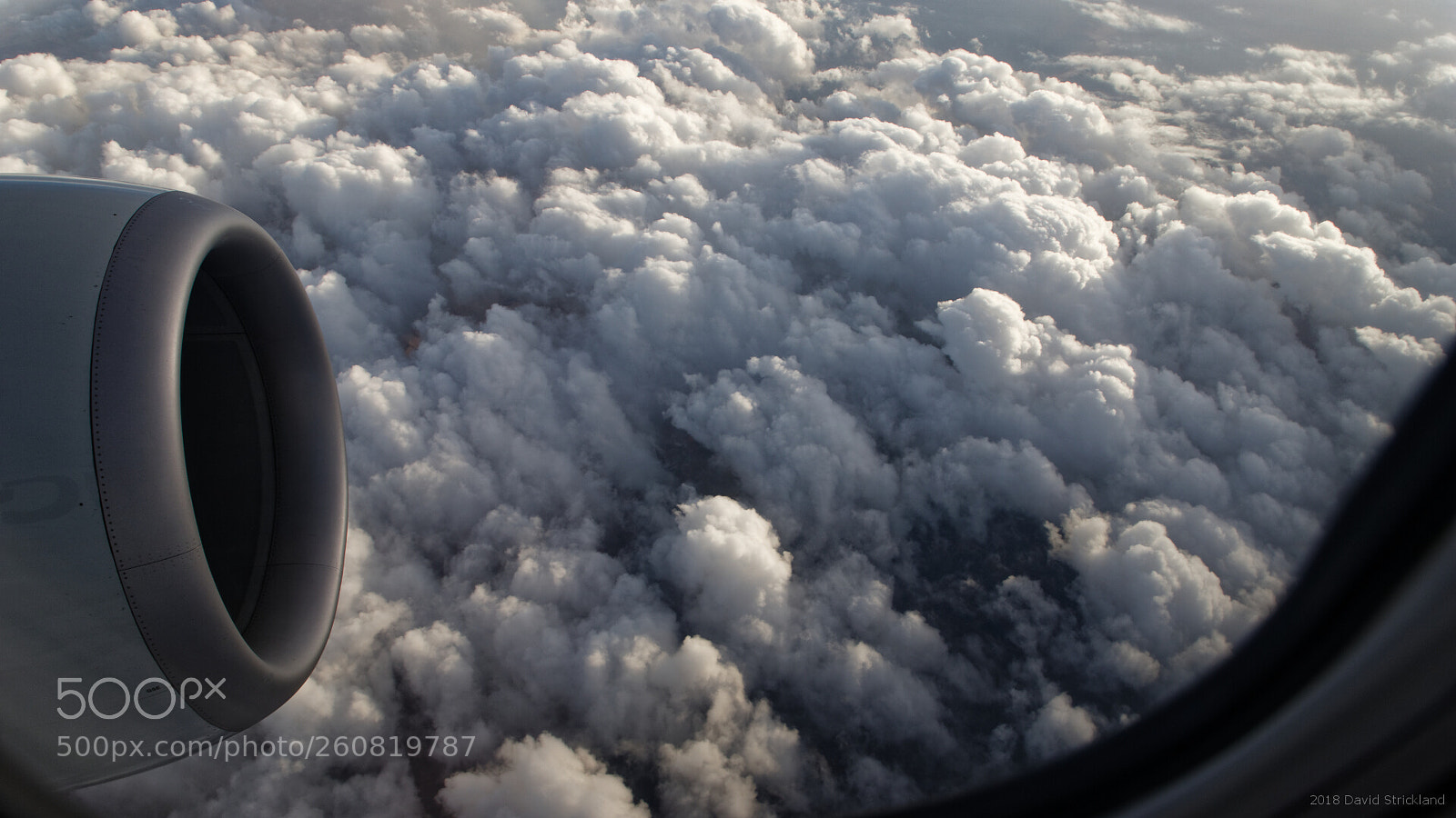 Canon EF 24-105mm F4L IS II USM sample photo. Cotton ball layer of photography