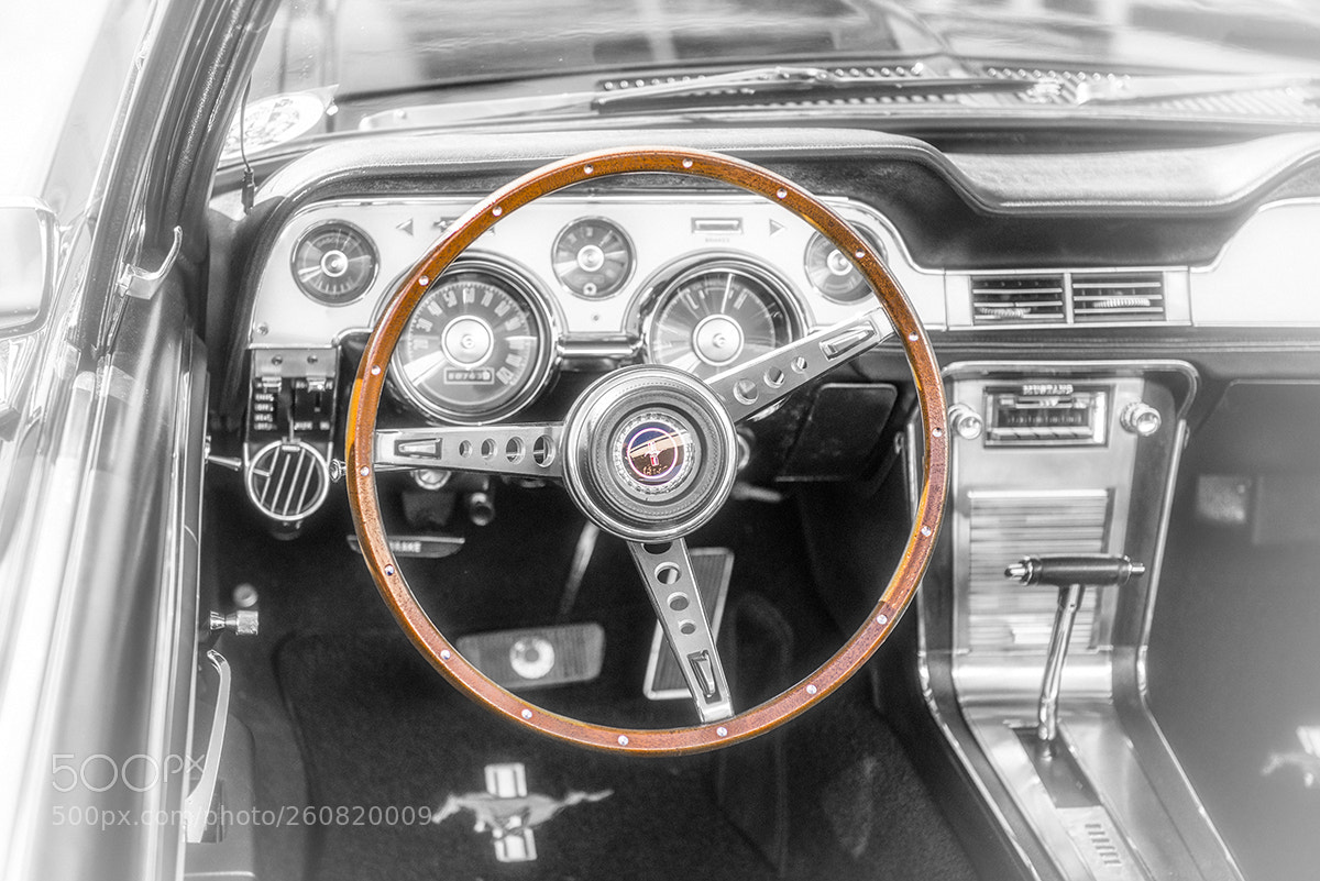 Nikon D800E sample photo. Brooklands march26 2017-23.jpg photography