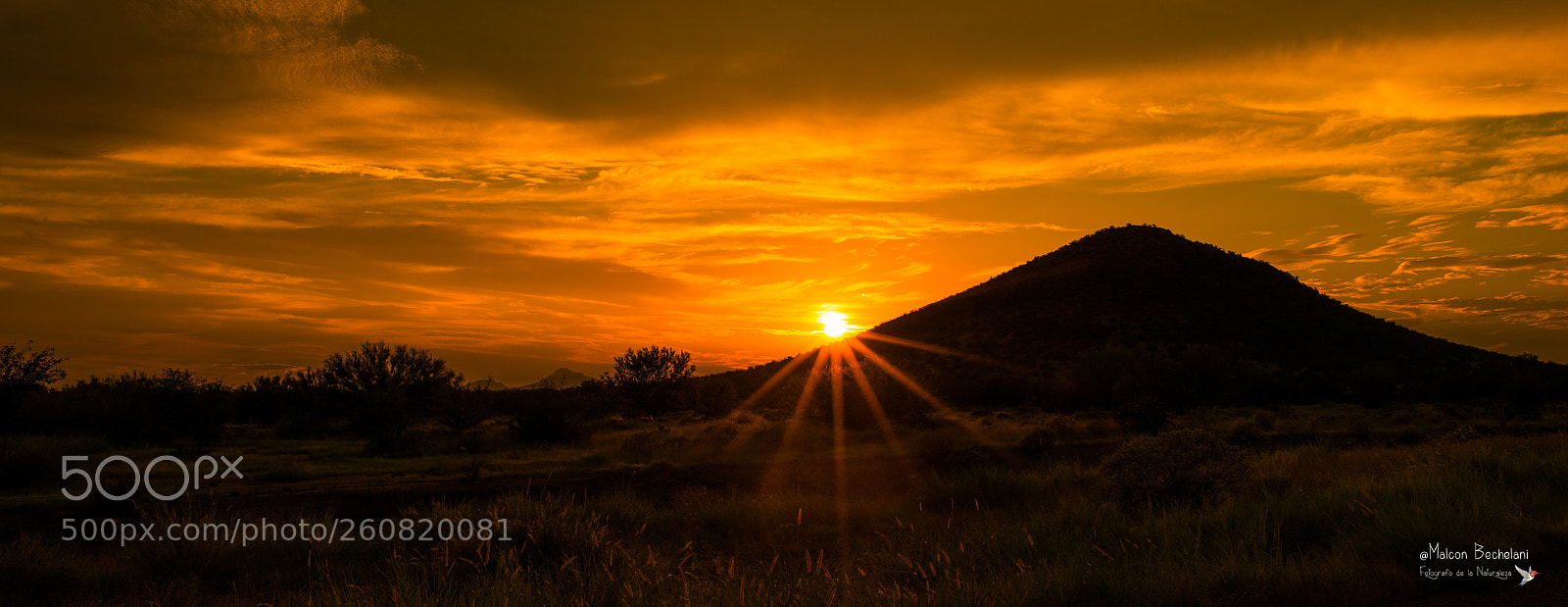 Nikon D800 sample photo. Copia photography