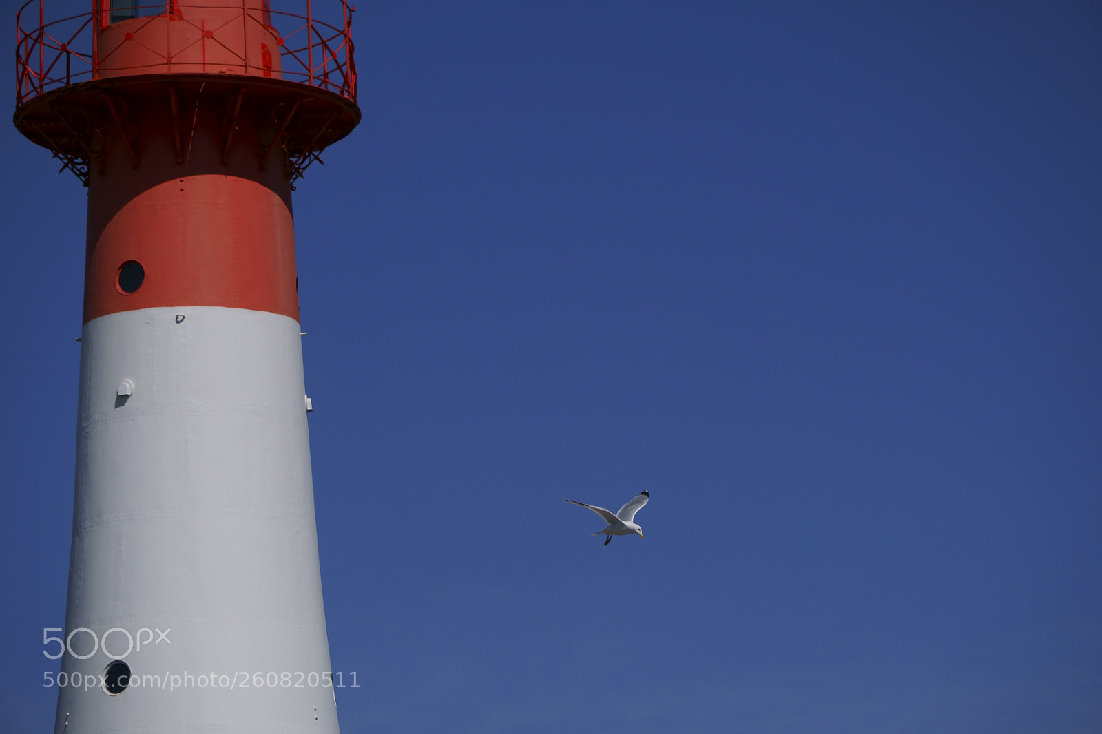 Sony a6300 sample photo. Möwe und leuchtturm photography