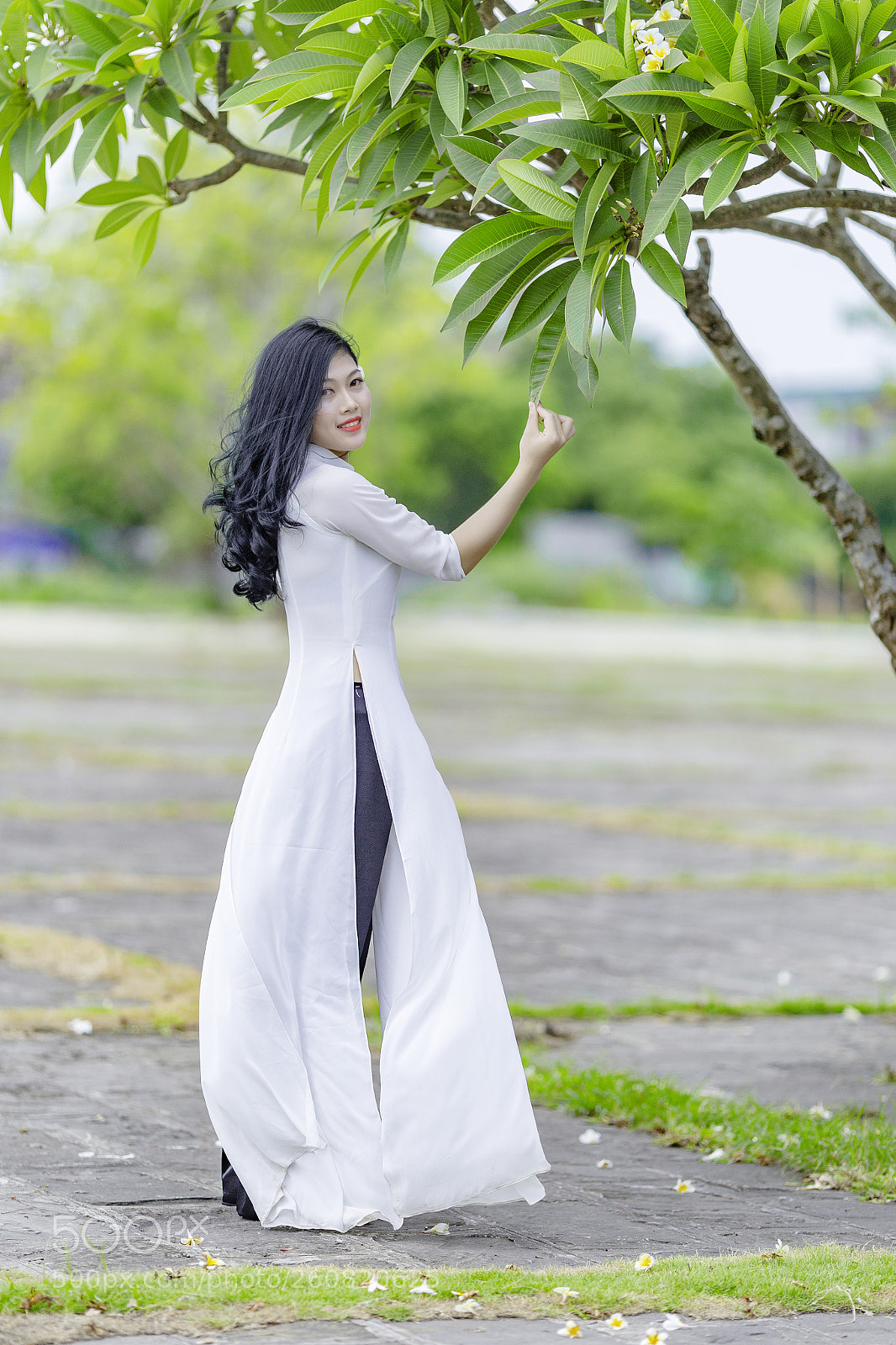 Canon EOS 6D sample photo. Img photography