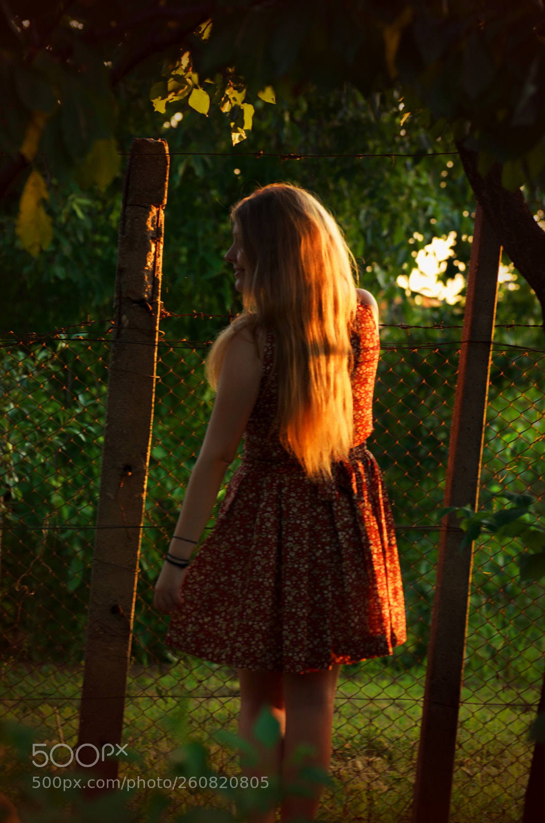 Nikon D5100 sample photo. The girl with golden photography
