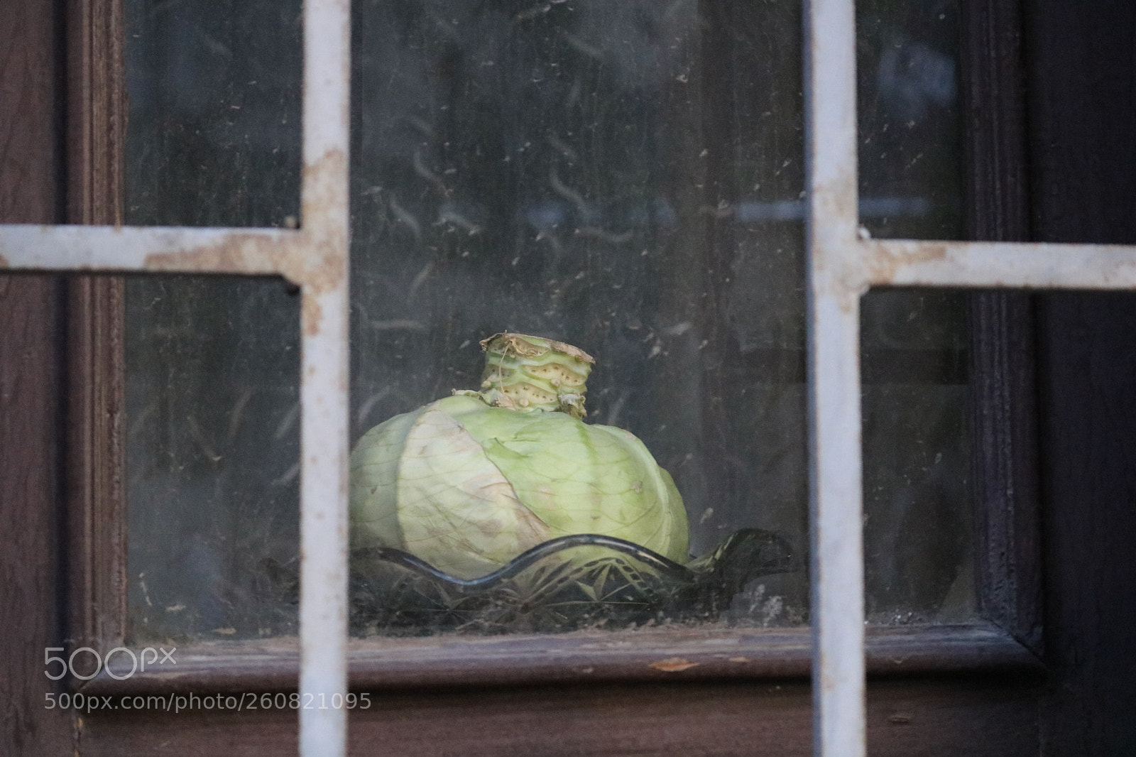 Canon EOS 750D (EOS Rebel T6i / EOS Kiss X8i) sample photo. Last cabbage photography