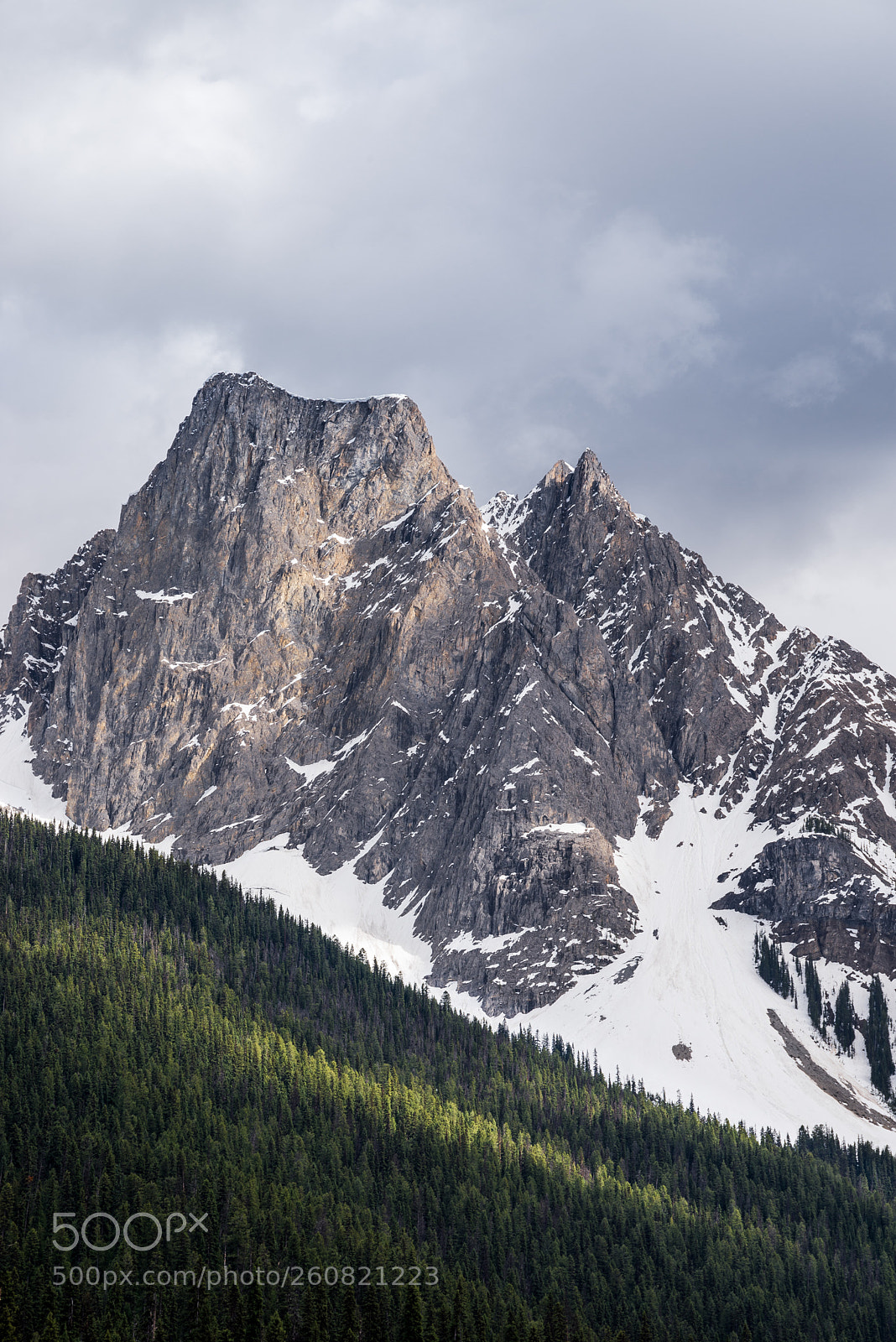 Nikon D610 sample photo. Mount burgess photography