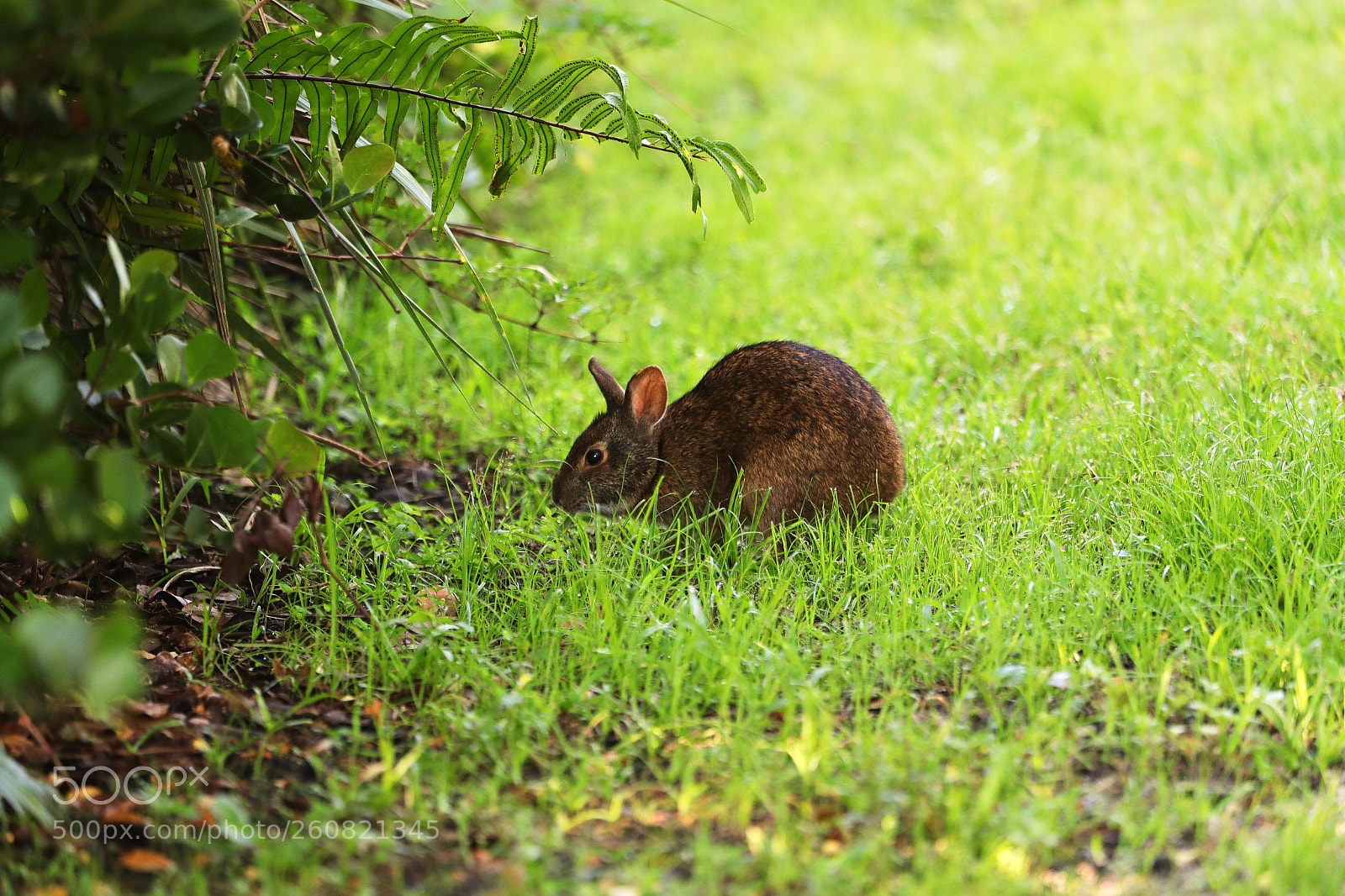 Canon EOS-1D X Mark II sample photo. 06-04-18-0021163.jpg photography