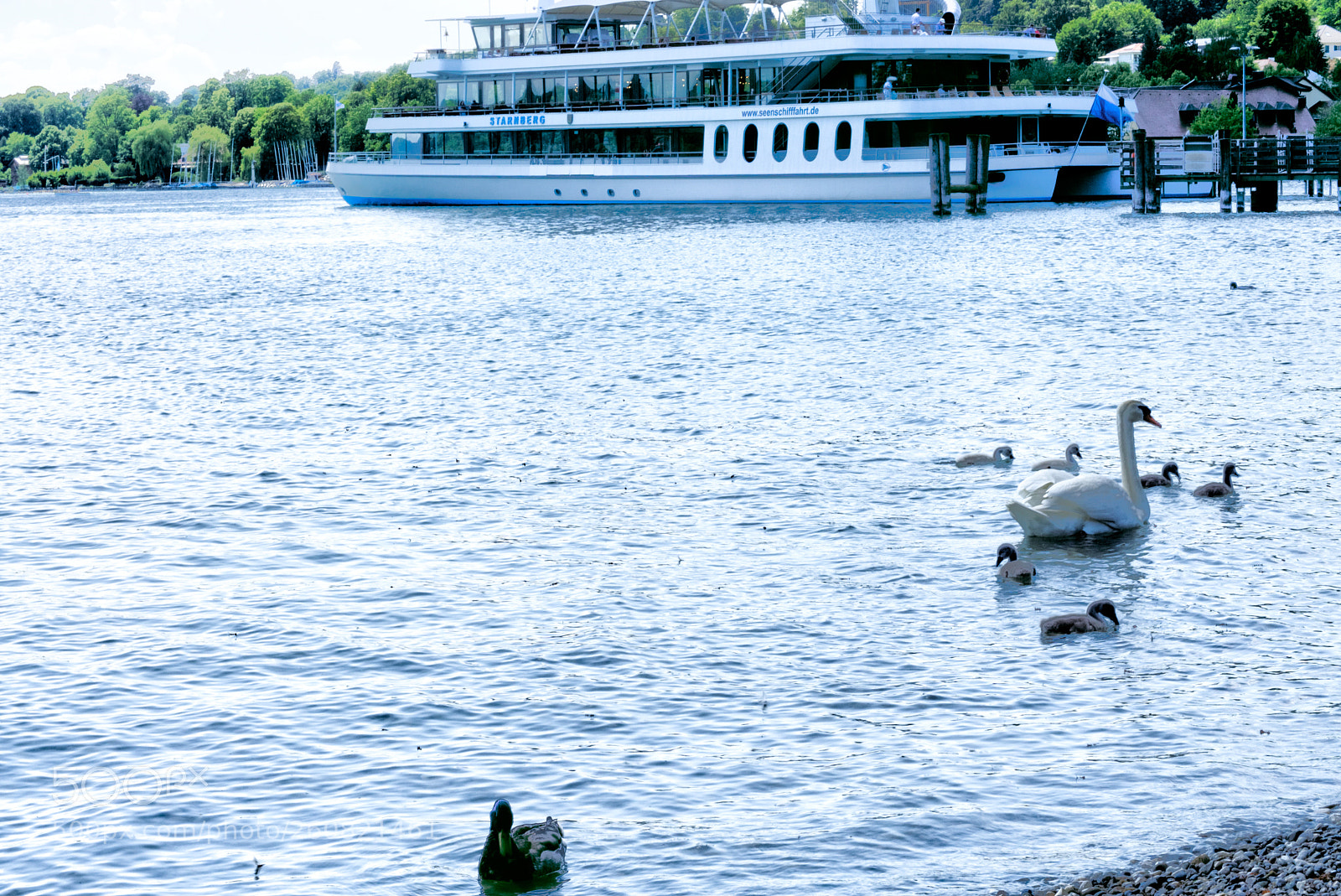 Sony a6000 sample photo. Ach ja, fr hling photography