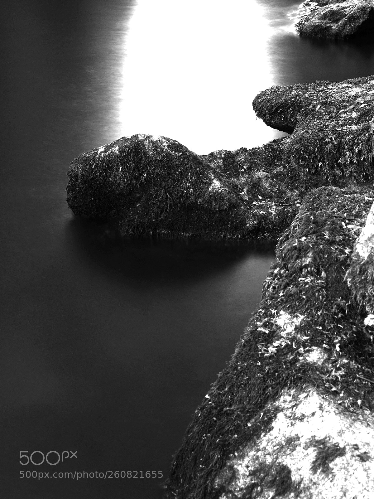 Olympus OM-D E-M10 II sample photo. In wehr. wehra photography