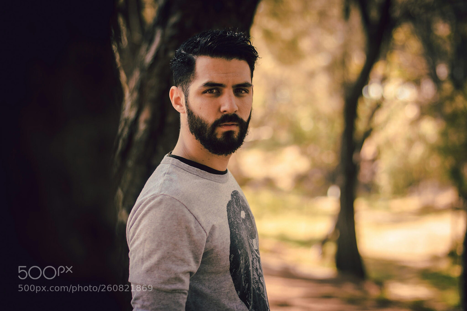 Nikon D7200 sample photo. Entre dos árboles photography