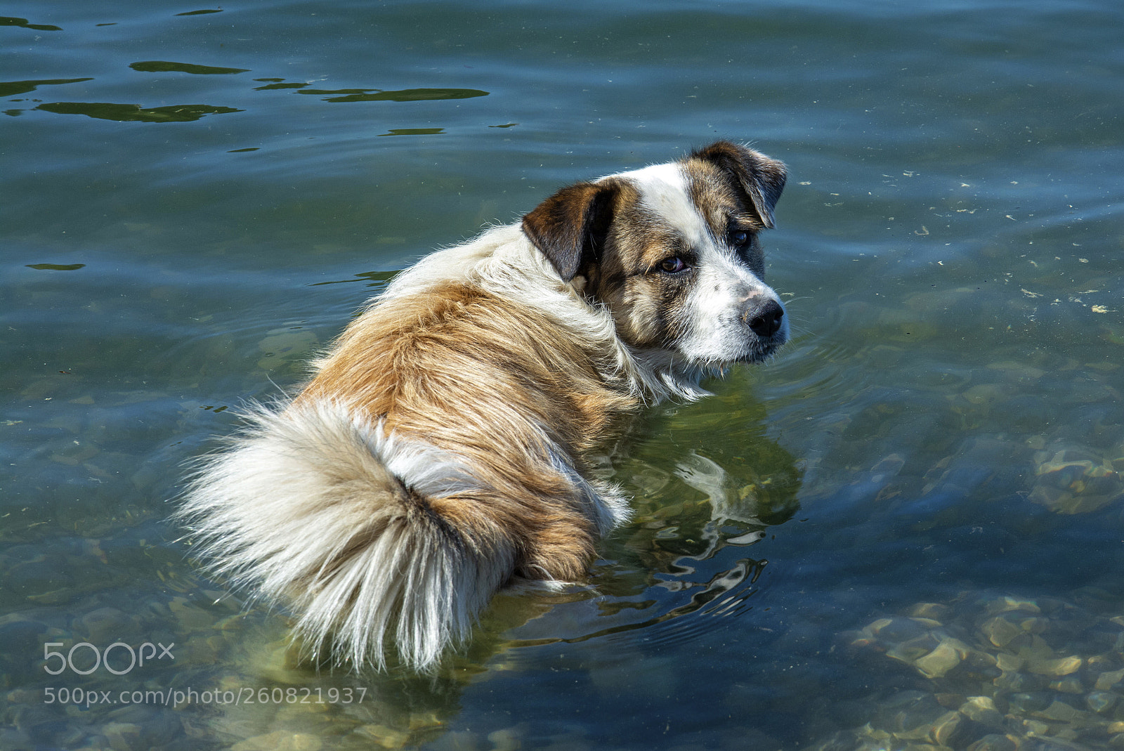 Nikon D7100 sample photo. 000014 photography