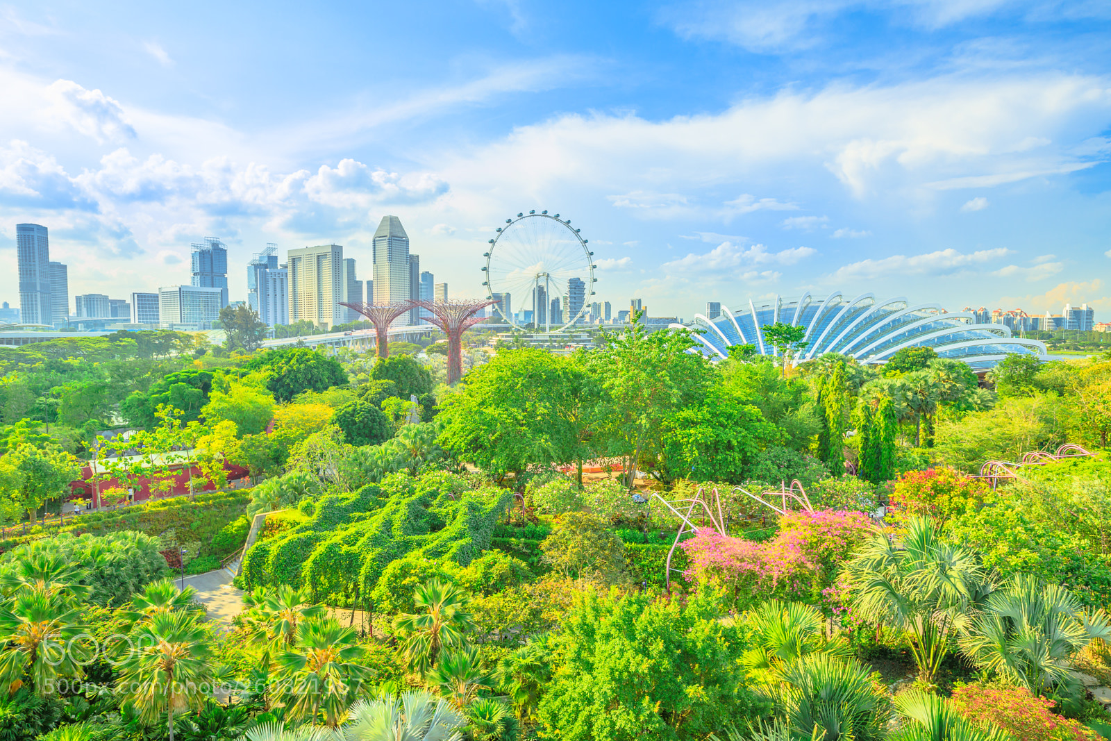 Canon EOS 5D Mark IV sample photo. Gardens by the bay photography