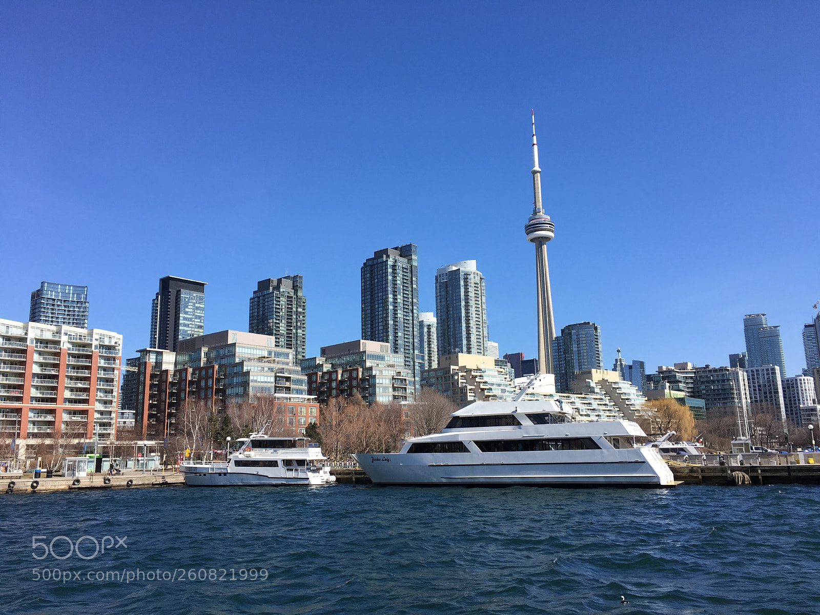Apple iPhone 6s sample photo. A beautiful sunny day photography