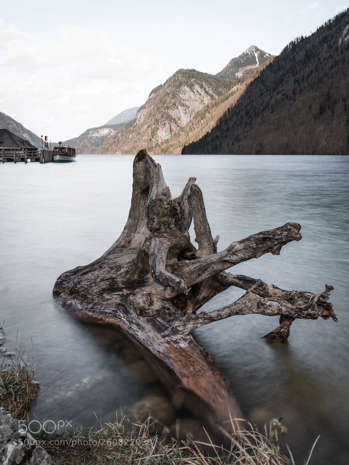Sony a7 III sample photo. I discovered this interesting photography