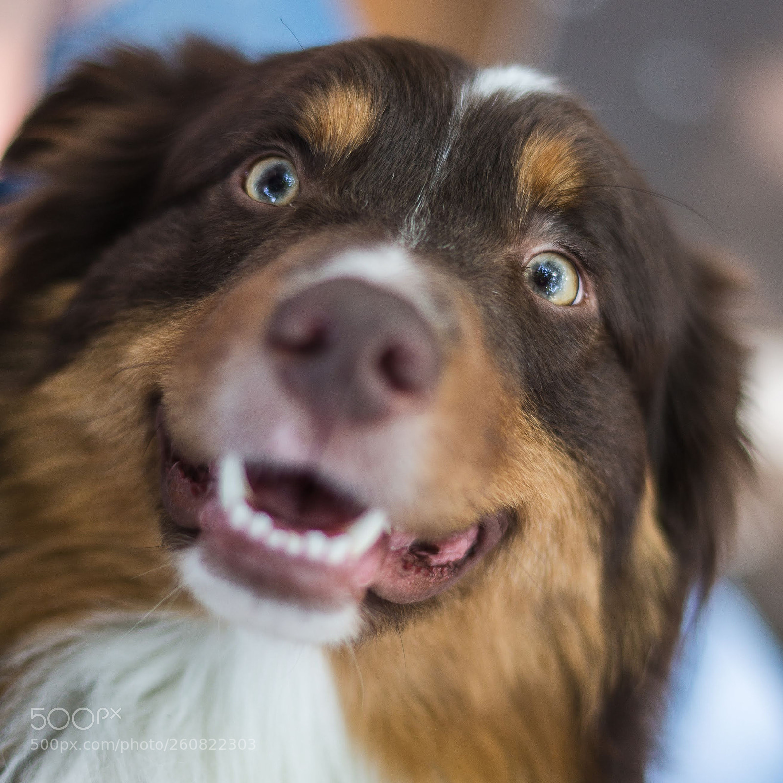 Sony a99 II sample photo. Wow photography