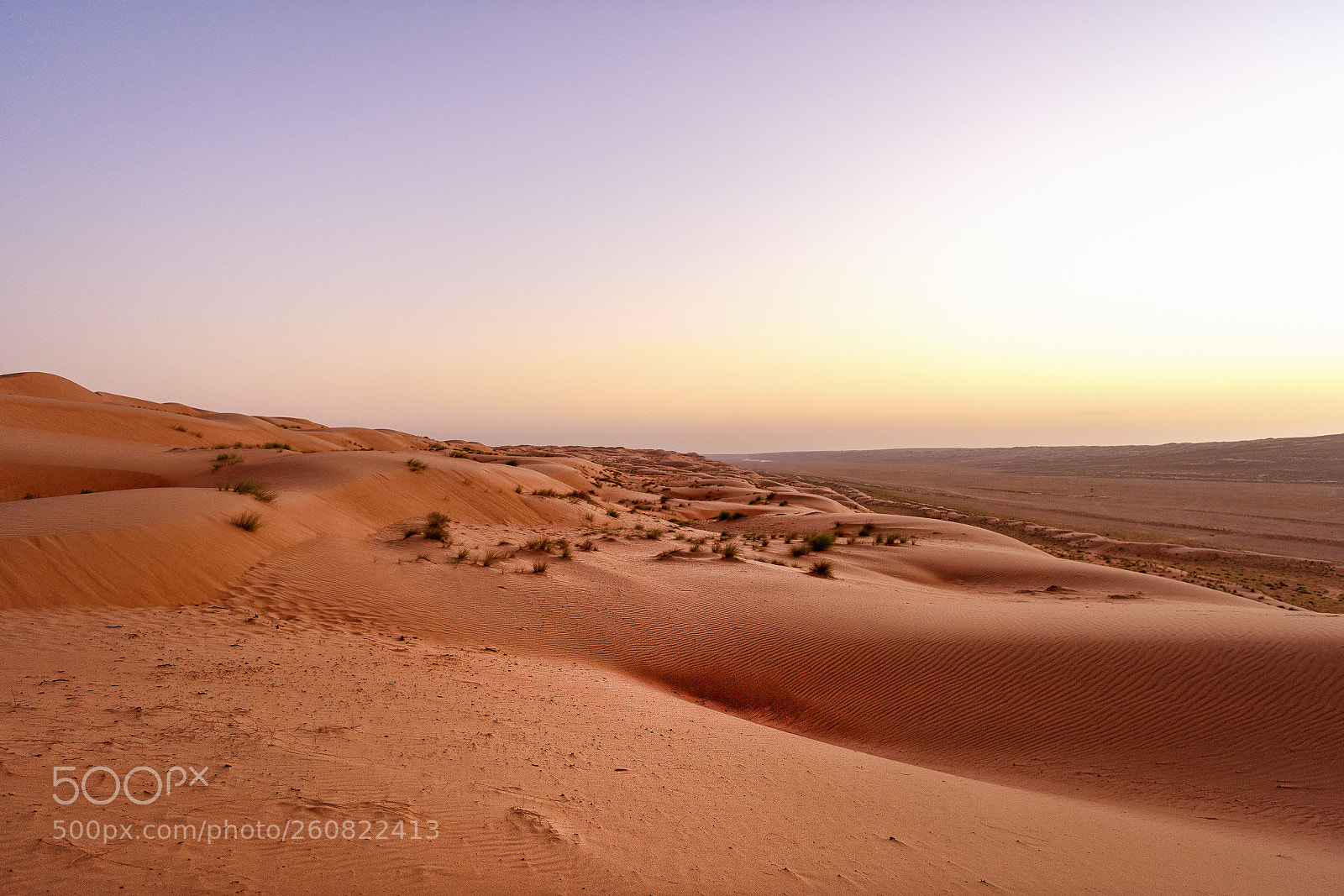 Nikon D810 sample photo. Desert at sunset photography