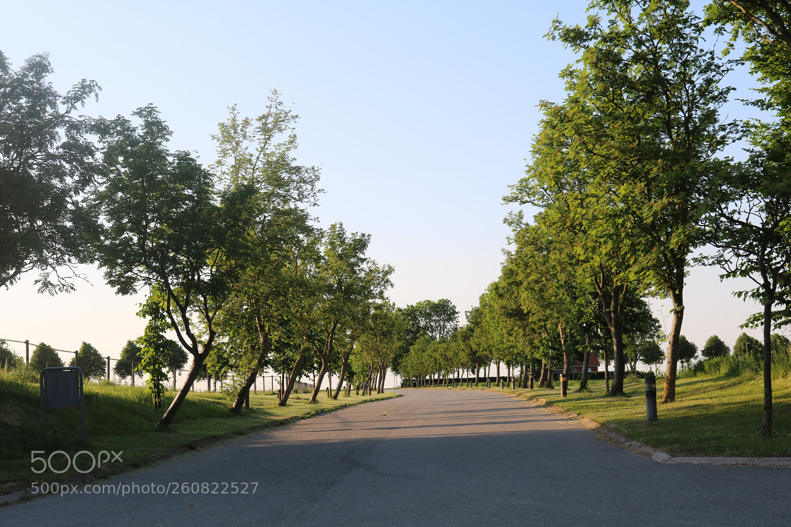 Canon EOS 750D (EOS Rebel T6i / EOS Kiss X8i) sample photo. Img photography