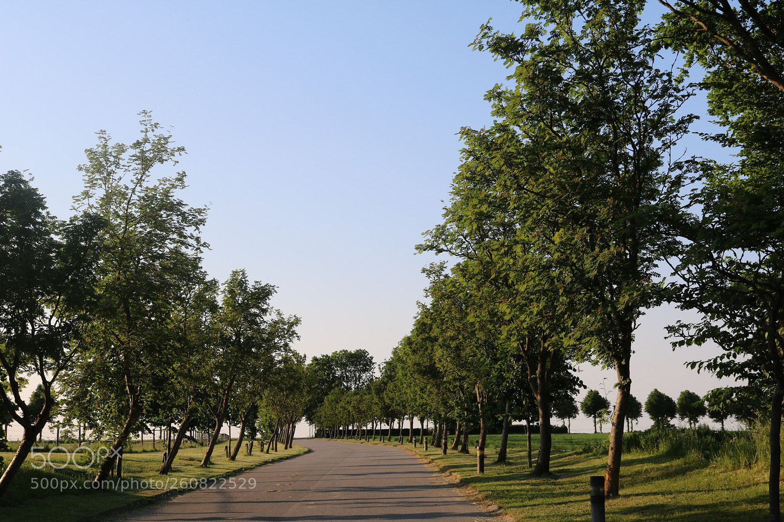Canon EOS 750D (EOS Rebel T6i / EOS Kiss X8i) sample photo. Img photography