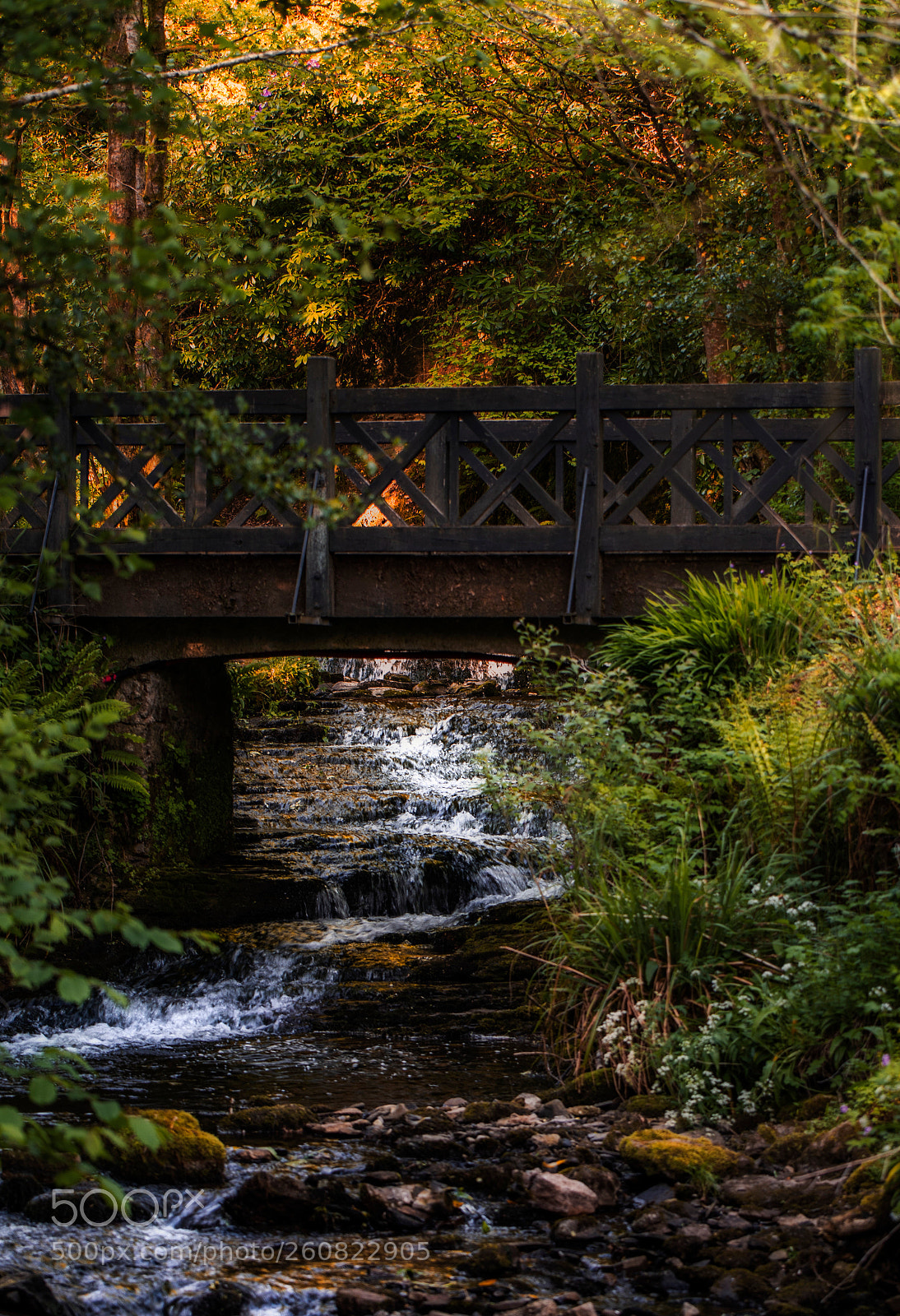 Nikon D810 sample photo. Nature retreat photography