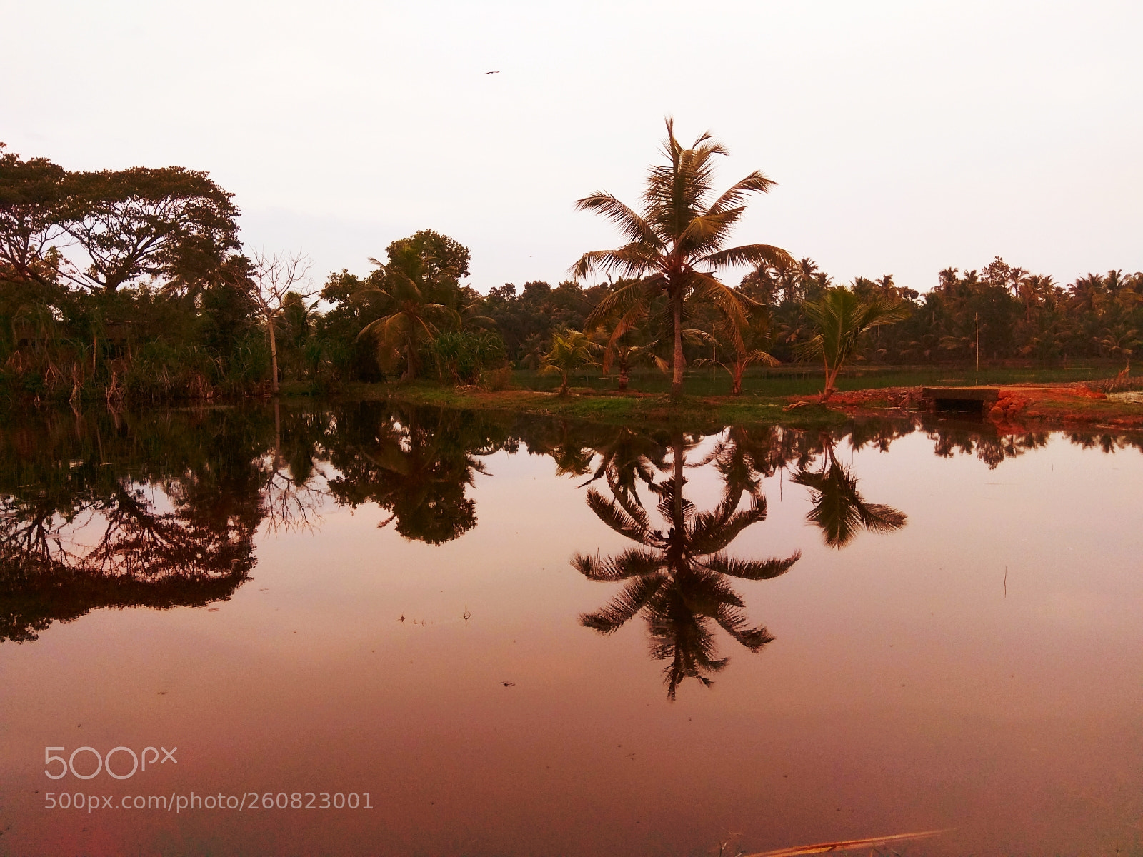 Xiaomi Redmi Note 4 sample photo. Calm place photography
