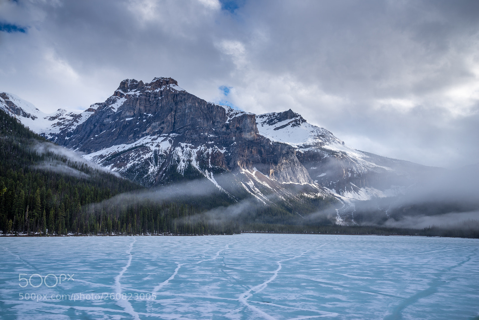 Nikon D610 sample photo. A cold morning at photography